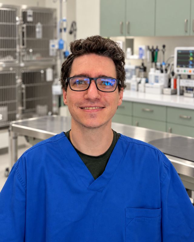 Dr. Drew Hahn